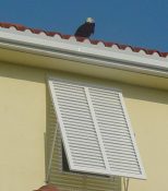 protective bermuda shutter on yellow house