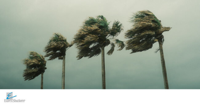 hurricane storm