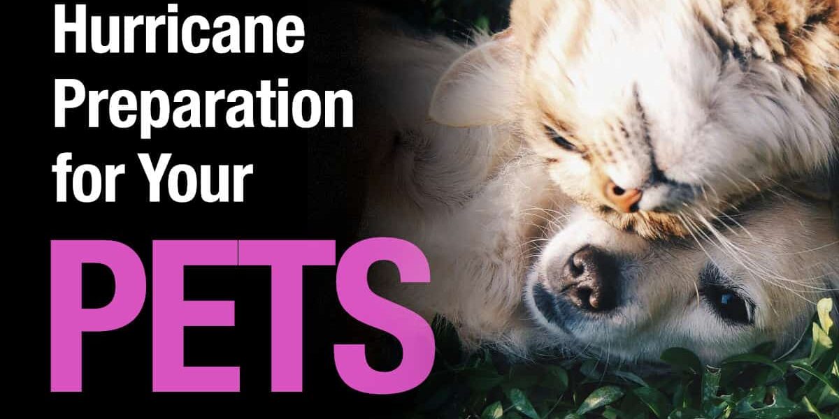 hurricane-prep-pets Hurricane Preparation for Your Pets
