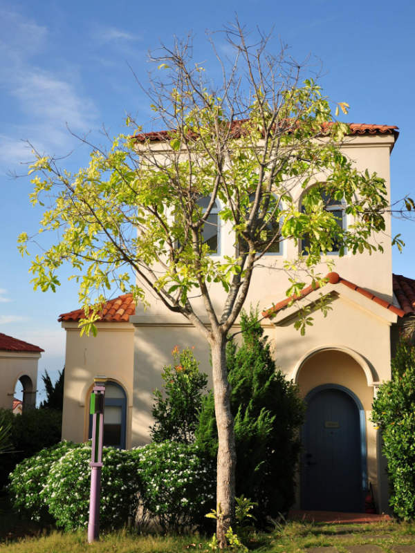 Simple, Mediterranean home with arch entry way, arched doors and windows, and red tile roof.
